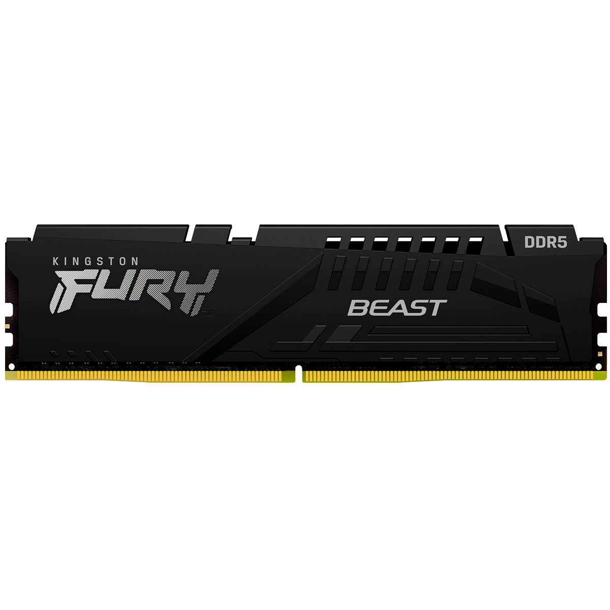 Память оперативная Kingston FURY Beast Black EXPO